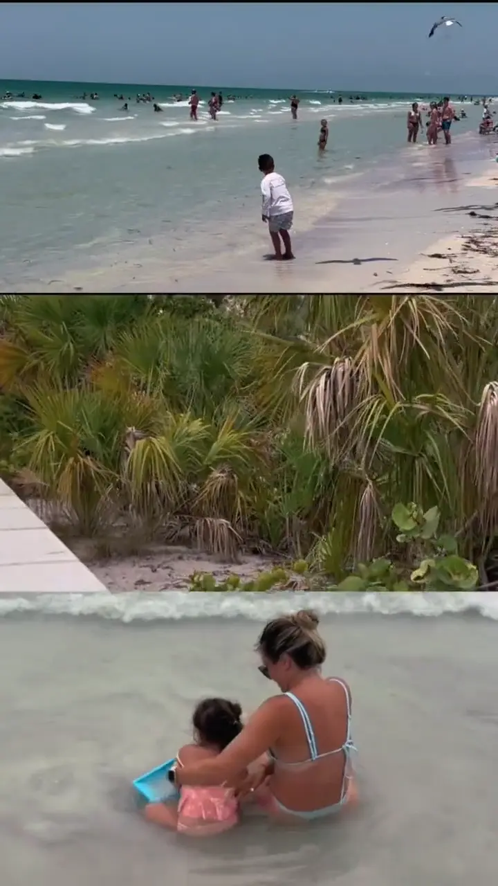 Split Video Capcut Template